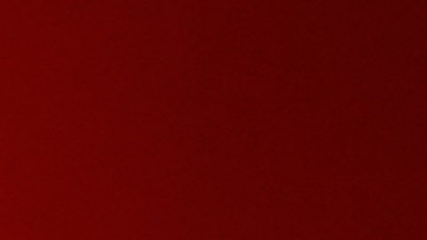 Toluca, Estado de México, 29 de marzo de 2025. Guillermo Almada, director técnico , durante el partido correspondiente a la jornada 13 del torneo Clausura 2025 de la Liga BBVA MX, entre los Diablos Rojos del Toluca y los Tuzos del Pachuca, realizado en el estadio Nemesio Diez. Foto: Imago7/