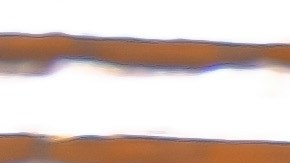 Pescado, verduras, aceite de oliva y frutos secos: pilares de una alimentación que protege tu cerebro.