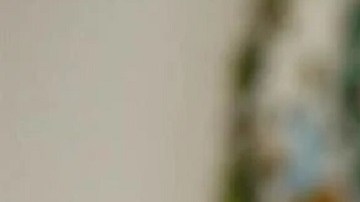 Corte de EE.UU. ordena a Genaro García Luna y su esposa pagar $2,488 millones de dólares a México