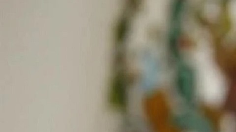 Corte de EE.UU. ordena a Genaro García Luna y su esposa pagar $2,488 millones de dólares a México