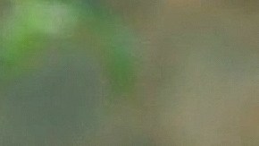 Irina Baeva Geraldine Bazán