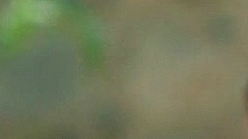 Irina Baeva Geraldine Bazán