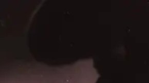 Karl Dönitz (1891-1980) fue presidente del Tercer Reich durante 23 días.