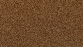 Kristi Noem, secretaria de Seguridad Nacional, acusó a un inmigrante de planear el asesinato del presidente Trump.