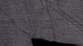 Según la acusación, McIver "agredió, obstaculizó e interfirió con la aplicación de la ley.