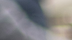 Las 4 ofertas imperdibles en Costco por menos de $10