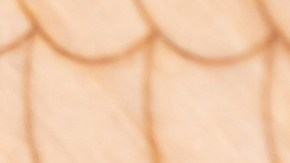 Las tasas hipotecarias en Estados Unidos se mantienen estables, según informe de Freddie Mac