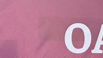 Mario Hernández García