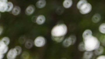 Merced Vélez vence todos los obstáculos y se gradúa de la universidad.