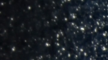 Moneda de centavo Lincoln de 1909