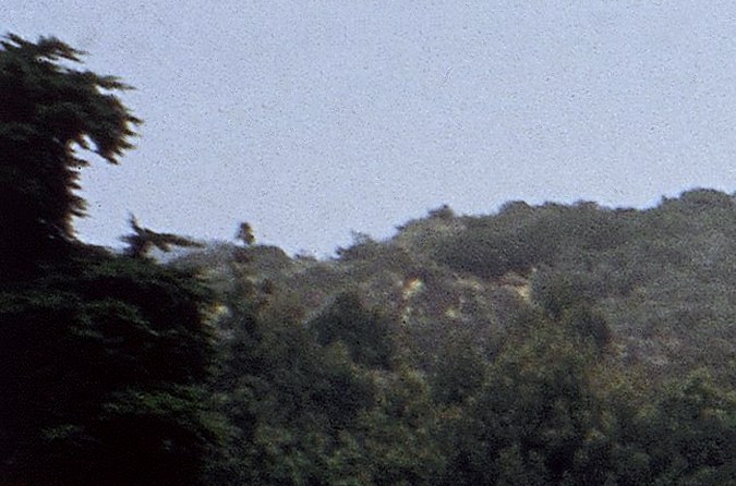 Visitors walk beside a pool in the Jean Paul Getty Museum in Malibu, California, United States in 1984. On either side are Greek and Roman antiquities, the main concern in this part of the 2-floor establishment. A floor above has decorative arts from the 13th, to the early 20th centuries. The museum was opened at its present site in 1974 as a recreation of the Villa dei Papiri, a first century Roman villa which stood on the slopes of Mount Vesuvius, near Herculaneum. Getty, an oil magnate, founded the collection and left it $1.3 billion when he died in 1976. (AP Photo/Emily Lane)