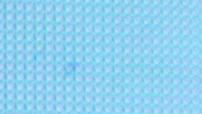 Niurka Marcos Juan Osorio