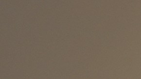 Pagarás compras con oro y plata en Florida