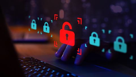 La base de datos filtrada fue identificada en internet por expertos en ciberseguridad