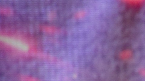 Pedro Moreno Bárbara Estévez