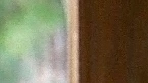 Actor Pedro Moreno enfrenta cargos por violencia doméstica tras incidente con su esposa