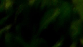 FILE - In this May 24, 2013 file photo, Veteran Roy Wiltz waits to be picked up outside the Atlanta VA Medical Center after a medical appointment in Atlanta. The FBI revealed on Wednesday, June 11, 2014, that it had opened a criminal investigation into a Department of Veterans Affairs reeling from allegations of falsified records and inappropriate scheduling practices. (AP Photo/David Goldman, File)