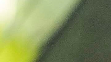 ICE confirmó que la operación ocurrió en la localidad de Chamblee, en el noreste de Atlanta.