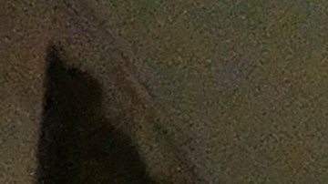 In this May 29, 2020, photo, police officers stand guard near the City Hall during a protest over the death of George Floyd in Los Angeles. Floyd died in police custody Monday in Minneapolis. (AP Photo/Ringo H.W. Chiu)