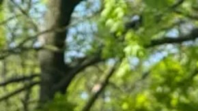 Los ciudadanos polacos comunes se han estado inscribiendo en días de entrenamiento militar anticipándose a un ataque militar.