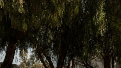 Producción de Lucid Motors