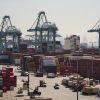 Trucks line up amid stacks of shipping containers at the Port of Los Angeles in Los Angeles, Thursday, April 10, 2025. (AP Photo/Jae C. Hong)
