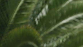 Publicación: Jul. 17 2024 Fotógrafo: Archivo/ Edgar Medel Lugar: CIUDAD DE MÉXICO Formato: 1500 x 1000 JPG Documento: 459.0 KB Folio: 2314816