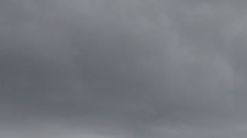 ICE arrestó a a más de 100 inmigrantes durante una redada en sitios de construcción en Florida.