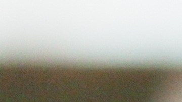 Regla de salud mental y seguros en EE.UU.: qué debemos saber