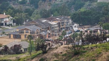 New homes are built next to burned homes at La Viña gated community adjacent to the Chaney Trail Corridor, in an area affected by the Eaton Fire, in Altadena, Calif., on Wednesday, April 23, 2025. (AP Photo/Damian Dovarganes)