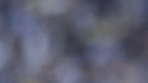 Publicación: May. 22 2025 Fotógrafo: Archivo/ Alejandro Garza Lugar: GUADALUPE, NL Formato: 1500 x 997 JPG Documento: 496.0 KB Folio: 2583927