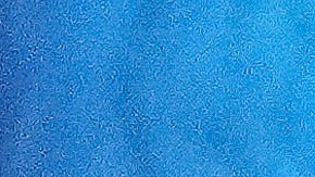 El fiscal general de California Rob Bonta encabeza las demandas de una coalición de estados.