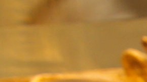 Atmosphere at the 2014 Bask-It-Style Media Day, on Wednesday, September 3th, 2014 in Toronto, Canada. (Photo by Todd Williamson/Invision for Bask-It-Style/AP Images)