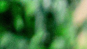 Sean "Diddy" Combs juicio