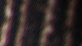 Seguro Social: Qué jubilados recibirán más de $4,000 este 21 de mayo