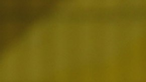 Steve Hilton, aspirante republicano a gobernador de California