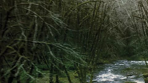 Subaru Forester 2025