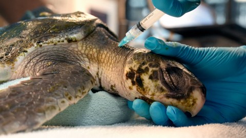 Según la demanda, la política del gobierno de Trump genera desechos tóxicos y derrames de crudo.