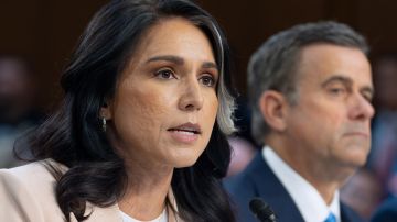 Las contraseñas de la Directora de Inteligencia Nacional fueron vulneradas mediante un hackeo del cual no se tienen mayores detalles