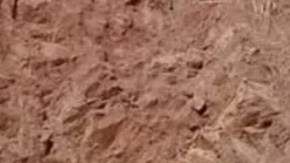 Unidad blindada del Ejército