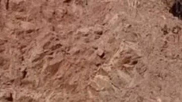 Unidad blindada del Ejército