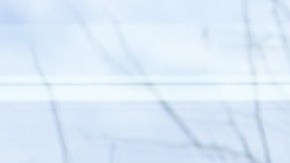 Universidad de Harvard