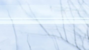 Universidad de Harvard