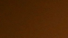 Prasad reemplaza al doctor Peter Marks, el veterano jefe de vacunas de la FDA que renunció en marzo.