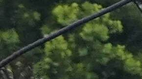 Authorities work the scene where a small plane crashed into a San Diego neighborhood, setting several homes on fire and forcing evacuations along several blocks early Thursday, May 22, 2025. (AP Photo/Gregory Bull)