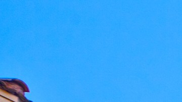 Walmart vende a $399 una bicicleta eléctrica y los compradores la elogian