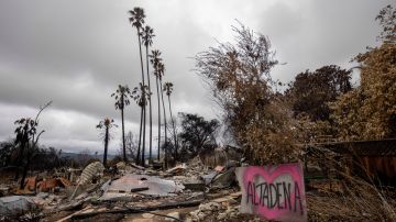 FILE - A property burned by the Eaton Fire is seen Thursday, Feb. 6, 2025, in Altadena, Calif. (AP Photo/Ethan Swope, File)