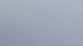 El incidente ocurrió en Maryland y es considerado “milagroso” por los rescatistas.