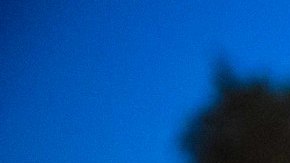 El DHS ordenó a los agentes del ICE realizar arrestos fuera de las cortes de inmigración.