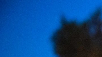 El DHS ordenó a los agentes del ICE realizar arrestos fuera de las cortes de inmigración.